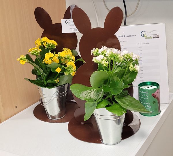 Ein Osterhase mit Blumeneimer